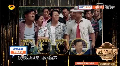 娱乐综艺节目吃瓜系统,吃瓜群众带你领略明星幕后故事