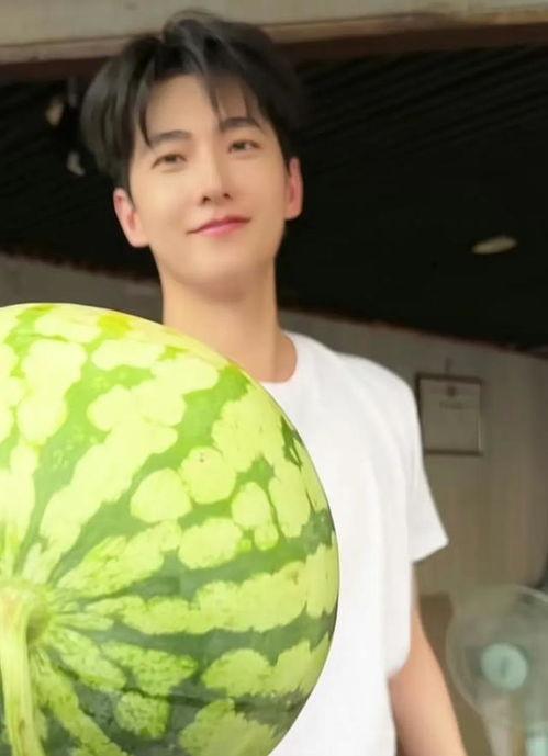 吃瓜娱乐圈图画,吃瓜群众揭秘幕后真相