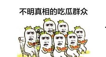 吃瓜群众还可以怎么说,网络时代的围观者众生相