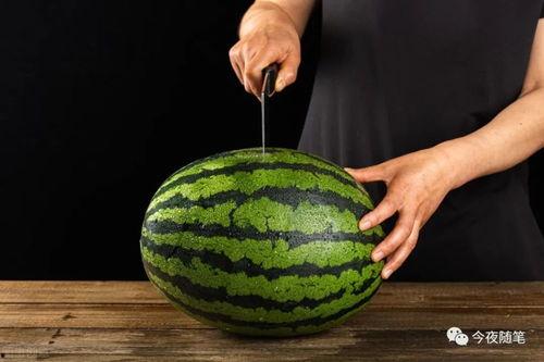 娱乐吃瓜方式,明星们的“吃瓜”日常