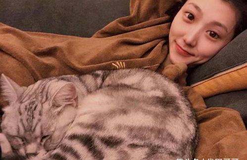 娱乐吃瓜君网红虐猫是谁,娱乐吃瓜君揭露虐猫网红真相